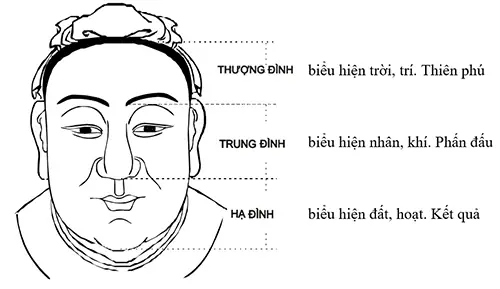Giải Mã Tướng Mặt Khỉ: Đặc Điểm Nhận Diện, Tính Cách & Vận Mệnh Theo Nhân Tướng Học Giải Mã Tướng Mặt Khỉ: Đặc Điểm Nhận Diện, Tính Cách & Vận Mệnh Theo Nhân Tướng Học