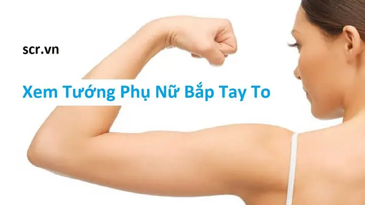 Giải Nghĩa Tướng Phụ Nữ Bắp Tay To Trong Nhân Tướng Học Và Ý Nghĩa Vận Mệnh Giải Nghĩa Tướng Phụ Nữ Bắp Tay To Trong Nhân Tướng Học Và Ý Nghĩa Vận Mệnh