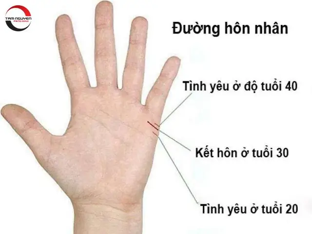 Giải Nghĩa Tướng Phụ Nữ Có Bàn Tay To: Tốt Hay Xấu Và Ý Nghĩa Vận Mệnh Giải Nghĩa Tướng Phụ Nữ Có Bàn Tay To: Tốt Hay Xấu Và Ý Nghĩa Vận Mệnh