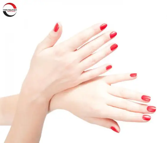 Giải Nghĩa Tướng Phụ Nữ Có Bàn Tay To: Tốt Hay Xấu Và Ý Nghĩa Vận Mệnh Giải Nghĩa Tướng Phụ Nữ Có Bàn Tay To: Tốt Hay Xấu Và Ý Nghĩa Vận Mệnh