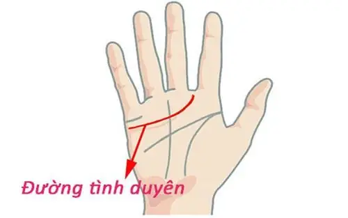 Tướng Phụ Nữ Không Được Nhờ Chồng Là Gì Và Những Nét Tướng Lận Đận Cần Biết