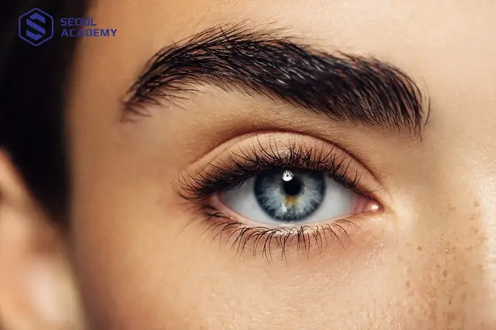 Giải Mã Tướng Phụ Nữ Lông Mày Rậm: Ý Nghĩa Nhân Tướng Học Và Góc Nhìn Khoa Học Giải Mã Tướng Phụ Nữ Lông Mày Rậm: Ý Nghĩa Nhân Tướng Học Và Góc Nhìn Khoa Học