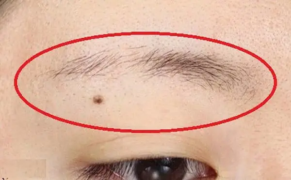 Nhận Diện Phụ Nữ Xảo Quyệt, Nham Hiểm Qua 12+ Nét Tướng Mặt Điển Hình Nên Cảnh Giác Nhận Diện Phụ Nữ Xảo Quyệt, Nham Hiểm Qua 12+ Nét Tướng Mặt Điển Hình Nên Cảnh Giác