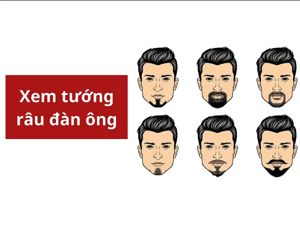 Xem Tướng Râu Đàn Ông: Phân Loại 8 Kiểu Râu Phổ Biến, Giải Mã Tính Cách Và Vận Mệnh Xem Tướng Râu Đàn Ông: Phân Loại 8 Kiểu Râu Phổ Biến, Giải Mã Tính Cách Và Vận Mệnh