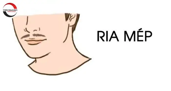 Xem Tướng Râu Đàn Ông: Phân Loại 8 Kiểu Râu Phổ Biến, Giải Mã Tính Cách Và Vận Mệnh Xem Tướng Râu Đàn Ông: Phân Loại 8 Kiểu Râu Phổ Biến, Giải Mã Tính Cách Và Vận Mệnh