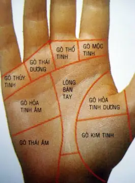 Giải Mã Tướng Số Bàn Tay Thô: Đặc Điểm, Phân Loại & Ý Nghĩa Vận Mệnh Nam/nữ Giải Mã Tướng Số Bàn Tay Thô: Đặc Điểm, Phân Loại & Ý Nghĩa Vận Mệnh Nam/nữ