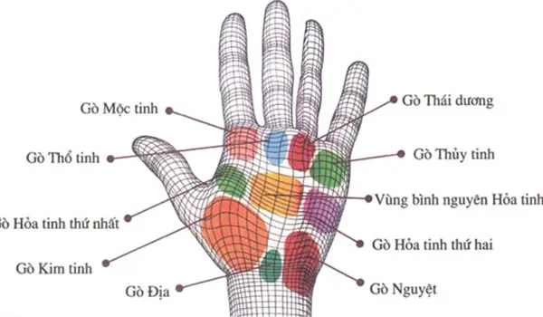 Giải Mã Tướng Số Bàn Tay Thô: Đặc Điểm, Phân Loại & Ý Nghĩa Vận Mệnh Nam/nữ Giải Mã Tướng Số Bàn Tay Thô: Đặc Điểm, Phân Loại & Ý Nghĩa Vận Mệnh Nam/nữ