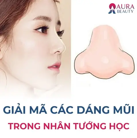 Giải Nghĩa Tướng Số Đầu Mũi Tròn Sống Nhiều Xương Trong Nhân Tướng Học Và Vận Mệnh Giải Nghĩa Tướng Số Đầu Mũi Tròn Sống Nhiều Xương Trong Nhân Tướng Học Và Vận Mệnh