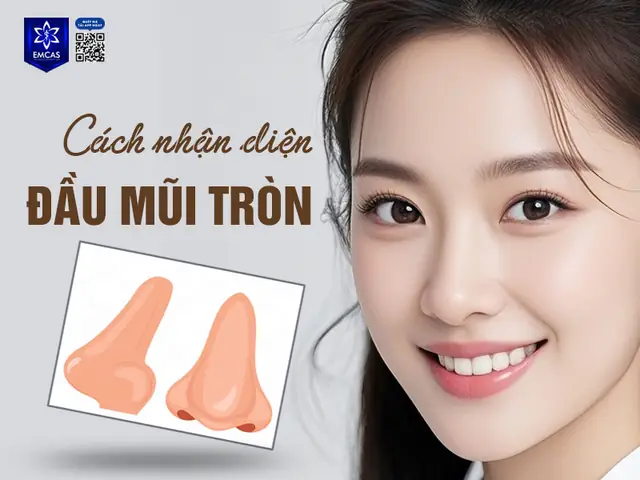 Giải Nghĩa Tướng Số Đầu Mũi Tròn Sống Nhiều Xương Trong Nhân Tướng Học Và Vận Mệnh Giải Nghĩa Tướng Số Đầu Mũi Tròn Sống Nhiều Xương Trong Nhân Tướng Học Và Vận Mệnh