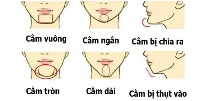 Cách Xem Tướng Số Du Học/xuất Ngoại: Đặc Điểm Nhận Biết & Giải Mã Chi Tiết Theo Nhân Tướng Học Cách Xem Tướng Số Du Học/xuất Ngoại: Đặc Điểm Nhận Biết & Giải Mã Chi Tiết Theo Nhân Tướng Học