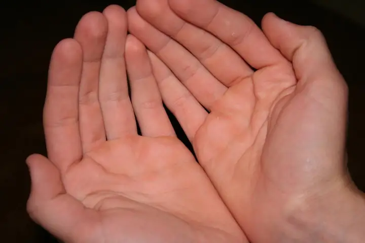 Nhận Biết Tướng Bàn Tay "hai Bàn Tay Trắng Núi Nợ" Và Dấu Hiệu Bàn Tay Báo Nợ Nần, Nghèo Khó Nhận Biết Tướng Bàn Tay "hai Bàn Tay Trắng Núi Nợ" Và Dấu Hiệu Bàn Tay Báo Nợ Nần, Nghèo Khó