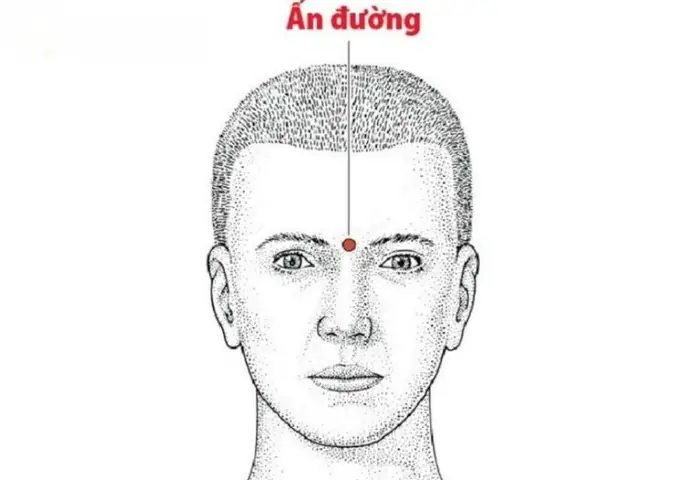 Tướng Số Là Gì? Ý Nghĩa, Thành Phần Và Sự Khác Biệt Với Bói Toán, Nhân Tướng Học Tướng Số Là Gì? Ý Nghĩa, Thành Phần Và Sự Khác Biệt Với Bói Toán, Nhân Tướng Học