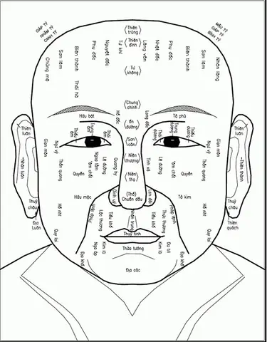 Tướng Số Là Gì? Ý Nghĩa, Thành Phần Và Sự Khác Biệt Với Bói Toán, Nhân Tướng Học Tướng Số Là Gì? Ý Nghĩa, Thành Phần Và Sự Khác Biệt Với Bói Toán, Nhân Tướng Học