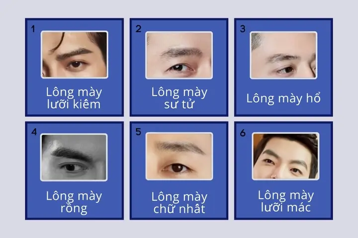 Xem Tướng Số Lông Mày Nam, Nữ: Phân Loại 20+ Dáng Mày & Ý Nghĩa Vận Mệnh, Sự Nghiệp Chi Tiết Xem Tướng Số Lông Mày Nam, Nữ: Phân Loại 20+ Dáng Mày & Ý Nghĩa Vận Mệnh, Sự Nghiệp Chi Tiết