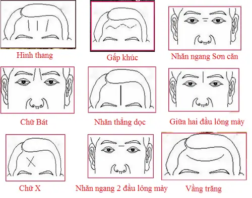 Giải Mã Tướng Số Nếp Nhăn Trên Trán Theo Nhân Tướng Học Cho Người Muốn Xem Vận Mệnh Giải Mã Tướng Số Nếp Nhăn Trên Trán Theo Nhân Tướng Học Cho Người Muốn Xem Vận Mệnh