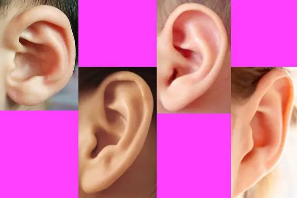 Giải Mã Tướng Số Người Tai Nhỏ: Tốt Xấu, Giàu Nghèo, Tính Cách Và Vận Mệnh Nam Nữ Chi Tiết Giải Mã Tướng Số Người Tai Nhỏ: Tốt Xấu, Giàu Nghèo, Tính Cách Và Vận Mệnh Nam Nữ Chi Tiết