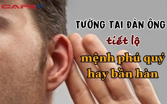 Giải Mã Tướng Số Người Tai Nhỏ: Tốt Xấu, Giàu Nghèo, Tính Cách Và Vận Mệnh Nam Nữ Chi Tiết Giải Mã Tướng Số Người Tai Nhỏ: Tốt Xấu, Giàu Nghèo, Tính Cách Và Vận Mệnh Nam Nữ Chi Tiết