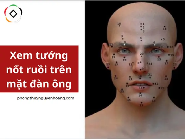 Giải Mã Ý Nghĩa Nốt Ruồi Trên Mặt Đàn Ông Theo Nhân Tướng Học Giải Mã Ý Nghĩa Nốt Ruồi Trên Mặt Đàn Ông Theo Nhân Tướng Học
