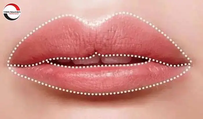 Giải Nghĩa Tướng Số Phụ Nữ Có Môi Dưới Dày Về Tính Cách Và Vận Mệnh