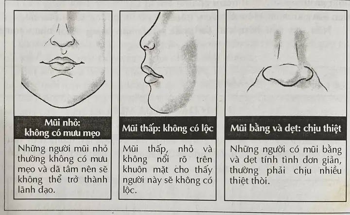 Hướng Dẫn Xem Tướng Số Qua Mũi: Giải Mã 3 Bộ Phận & Ý Nghĩa Các Dáng Mũi Đẹp - Xấu Hướng Dẫn Xem Tướng Số Qua Mũi: Giải Mã 3 Bộ Phận & Ý Nghĩa Các Dáng Mũi Đẹp - Xấu