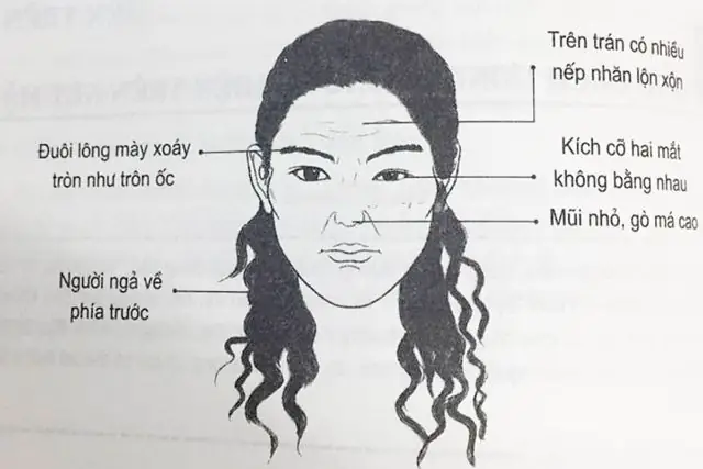 Xem Tướng Sắc Diện Phụ Nữ: Đoán Vận Mệnh, Phúc Khí Qua Khuôn Mặt Xem Tướng Sắc Diện Phụ Nữ: Đoán Vận Mệnh, Phúc Khí Qua Khuôn Mặt