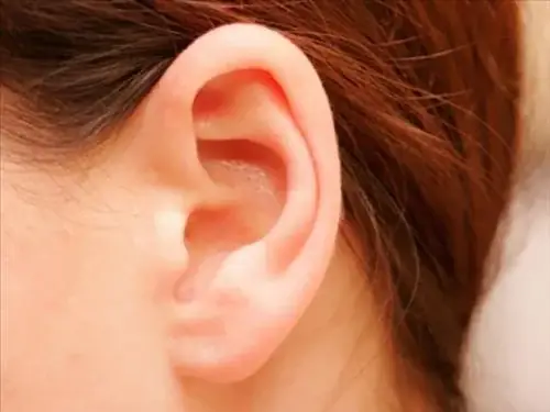 Xem Tướng Tai Chuột: Đặc Điểm Nhận Diễn, Tính Cách Và Vận Mệnh Nam/nữ Xem Tướng Tai Chuột: Đặc Điểm Nhận Diễn, Tính Cách Và Vận Mệnh Nam/nữ