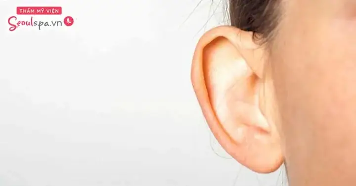 Xem Tướng Tai Chuột: Đặc Điểm Nhận Diễn, Tính Cách Và Vận Mệnh Nam/nữ Xem Tướng Tai Chuột: Đặc Điểm Nhận Diễn, Tính Cách Và Vận Mệnh Nam/nữ