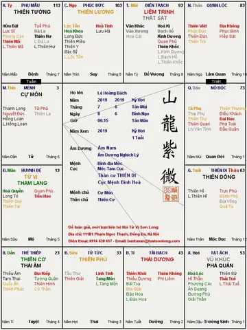 Xem Tử Vi Trọn Đời Tuổi Kỷ Hợi 2019: Lá Số, Mệnh, Vận Nam Nữ & Trẻ Em Chi Tiết