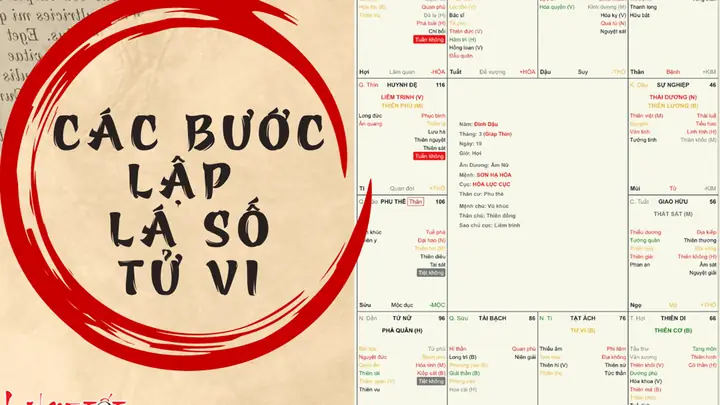 Xem Tử Vi Trọn Đời Tuổi Kỷ Hợi 2019: Lá Số, Mệnh, Vận Nam Nữ & Trẻ Em Chi Tiết