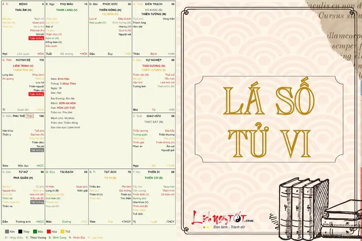 Xem Tử Vi Trọn Đời Tuổi Kỷ Hợi 2019: Lá Số, Mệnh, Vận Nam Nữ & Trẻ Em Chi Tiết