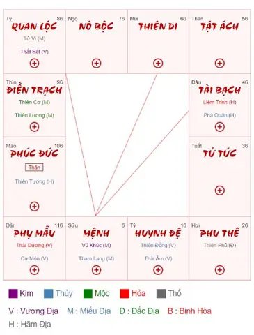 Xem Tử Vi Trọn Đời Tuổi Kỷ Hợi 2019: Lá Số, Mệnh, Vận Nam Nữ & Trẻ Em Chi Tiết