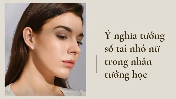Giải Mã Tướng Tai Nhỏ Nữ: Tính Cách, Vận Mệnh Tiền Bạc & Tình Duyên Chi Tiết Giải Mã Tướng Tai Nhỏ Nữ: Tính Cách, Vận Mệnh Tiền Bạc & Tình Duyên Chi Tiết