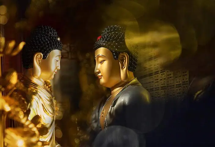 Tướng Tai Phật Là Gì? Đặc Điểm, Ý Nghĩa Vận Mệnh Nam Nữ & Có Tốt Hay Xấu?
