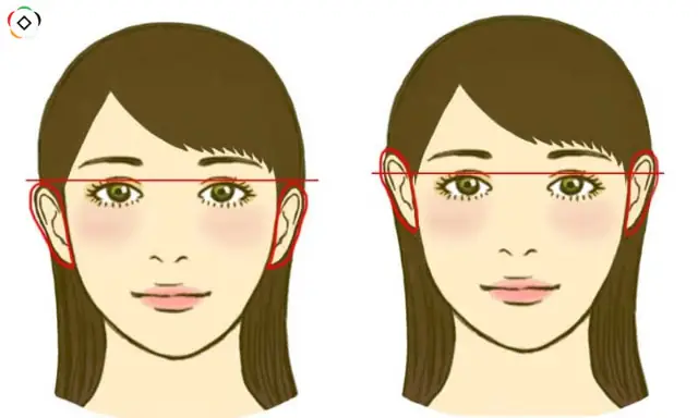Giải Mã Tướng Tai Thấp Hơn Mắt: Ý Nghĩa Nhân Tướng, Vận Mệnh Và Tính Cách Chi Tiết Giải Mã Tướng Tai Thấp Hơn Mắt: Ý Nghĩa Nhân Tướng, Vận Mệnh Và Tính Cách Chi Tiết