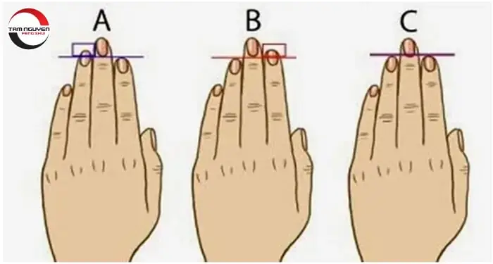 Hướng Dẫn Xem Tướng Tay Cán, Cánh Tay Và Bàn Tay: Dấu Hiệu Phú Quý, Phúc Lộc Và Nhân Cách