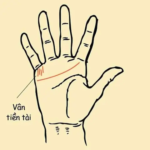 Hướng Dẫn Xem Tướng Tay Cán, Cánh Tay Và Bàn Tay: Dấu Hiệu Phú Quý, Phúc Lộc Và Nhân Cách