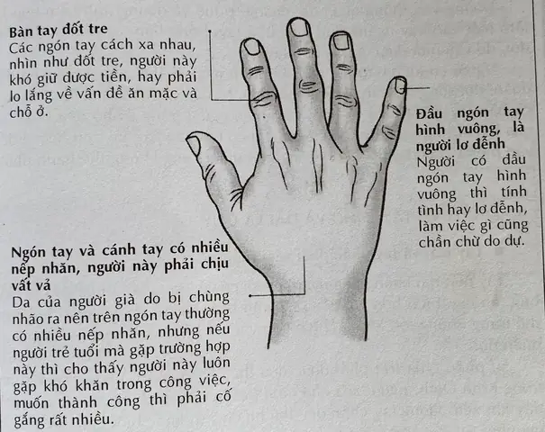 Tướng Tay Đàn Ông Giàu Sang Phú Quý: Top 10+ Nét Tướng & Đường Chỉ Tay Đắc Địa Nhất Tướng Tay Đàn Ông Giàu Sang Phú Quý: Top 10+ Nét Tướng & Đường Chỉ Tay Đắc Địa Nhất