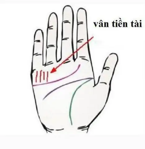 Tướng Tay Đàn Ông Giàu Sang Phú Quý: Top 10+ Nét Tướng & Đường Chỉ Tay Đắc Địa Nhất Tướng Tay Đàn Ông Giàu Sang Phú Quý: Top 10+ Nét Tướng & Đường Chỉ Tay Đắc Địa Nhất