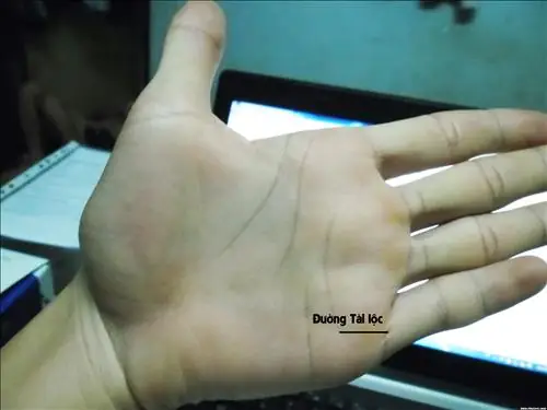 Nhận Diện Dấu Hiệu Tướng Tay Lam Việc Tâm Linh Qua Chỉ Tay Và Lòng Bàn Tay Nhận Diện Dấu Hiệu Tướng Tay Lam Việc Tâm Linh Qua Chỉ Tay Và Lòng Bàn Tay