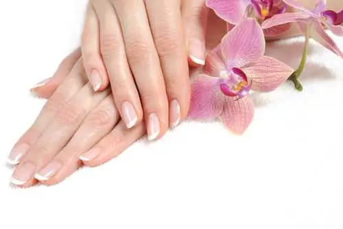 Top 10+ Dấu Hiệu Tướng Tay Người Thành Công: Nhận Diện Đường Chỉ, Gò Tay Và Hình Dáng Bàn Tay Giàu Có Top 10+ Dấu Hiệu Tướng Tay Người Thành Công: Nhận Diện Đường Chỉ, Gò Tay Và Hình Dáng Bàn Tay Giàu Có