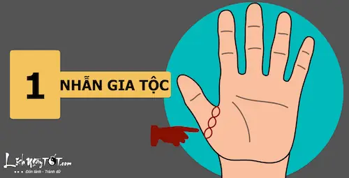 Top 10+ Dấu Hiệu Tướng Tay Người Thành Công: Nhận Diện Đường Chỉ, Gò Tay Và Hình Dáng Bàn Tay Giàu Có Top 10+ Dấu Hiệu Tướng Tay Người Thành Công: Nhận Diện Đường Chỉ, Gò Tay Và Hình Dáng Bàn Tay Giàu Có