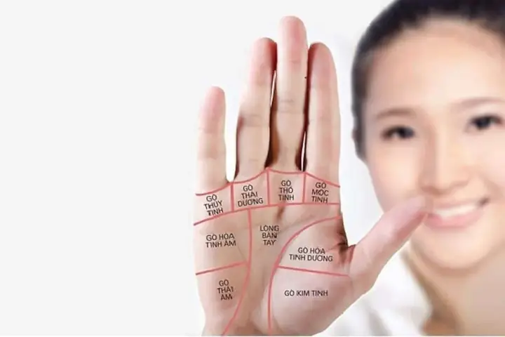 Nhận Diện Tướng Tay Vượng Phu Ích Tử Ở Phụ Nữ Qua Đặc Điểm Lòng Bàn Tay Nhận Diện Tướng Tay Vượng Phu Ích Tử Ở Phụ Nữ Qua Đặc Điểm Lòng Bàn Tay