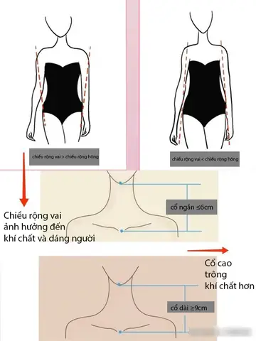 Discover What Flat Shoulders And Short Neck Reveal About Your Destiny In Physiognomy Discover What Flat Shoulders And Short Neck Reveal About Your Destiny In Physiognomy