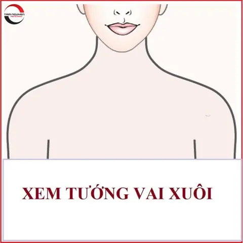 Xem Tướng Vai Xuôi Nữ: Ý Nghĩa Vận Mệnh, Đặc Điểm Nhận Diện Và Cách Mặc Đẹp Chuẩn Nhất