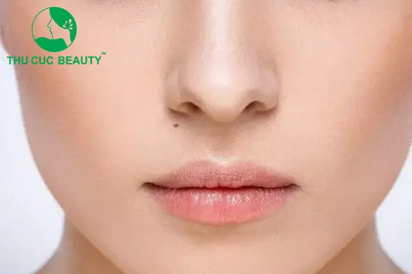 Giải Mã Ý Nghĩa Nốt Ruồi Cách Cánh Mũi Phải 1cm Trong Nhân Tướng Học