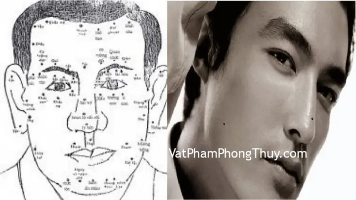 Giải Mã Ý Nghĩa Vị Trí Nốt Ruồi Của Đàn Ông Theo Nhân Tướng Học Và Phong Thủy Giải Mã Ý Nghĩa Vị Trí Nốt Ruồi Của Đàn Ông Theo Nhân Tướng Học Và Phong Thủy