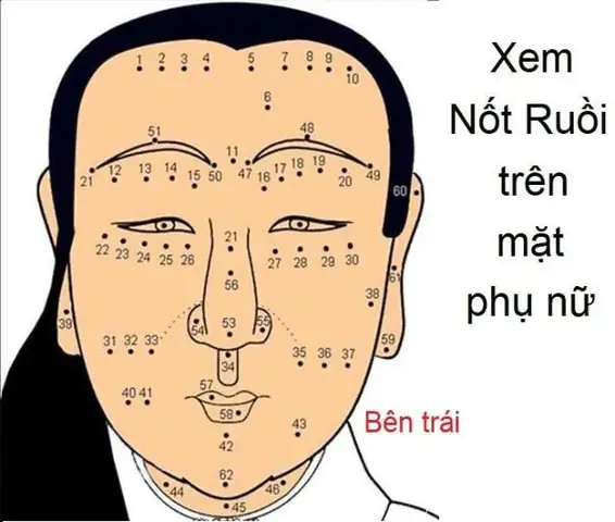 Giải Mã Ý Nghĩa Vị Trí Nốt Ruồi Trên Khuôn Mặt Phụ Nữ Theo Nhân Tướng Học Giải Mã Ý Nghĩa Vị Trí Nốt Ruồi Trên Khuôn Mặt Phụ Nữ Theo Nhân Tướng Học