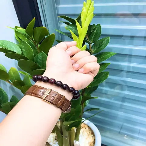 Vòng Tay Gỗ Sưa Tím: Định Nghĩa, Loại Cây, Công Dụng Và Cách Chọn Mua Phù Hợp Vòng Tay Gỗ Sưa Tím: Định Nghĩa, Loại Cây, Công Dụng Và Cách Chọn Mua Phù Hợp