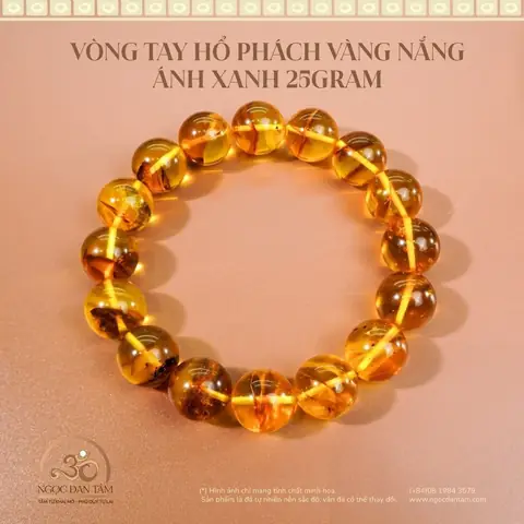 Chọn Mua Vòng Tay Hổ Phách Vàng: Các Loại, Giá Và Địa Chỉ Uy Tín