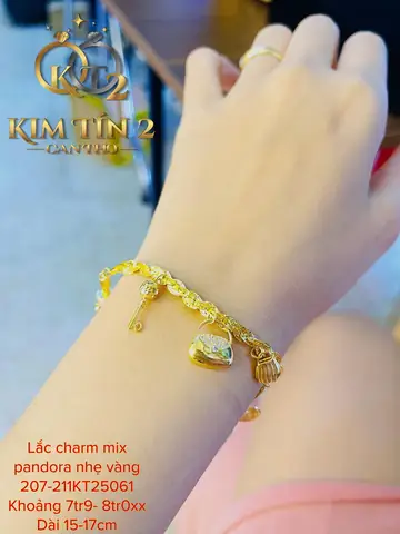 Bảng Giá Vòng Tay Pandora Bao Nhiêu Tiền Theo Chất Liệu Và Loại Charm